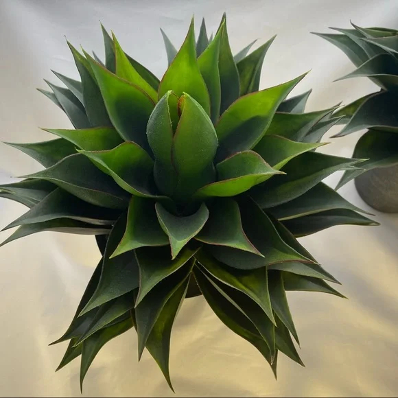Artificial 14 inch Agave Succulent Plant (Set of 2) - Picture 3 of 4